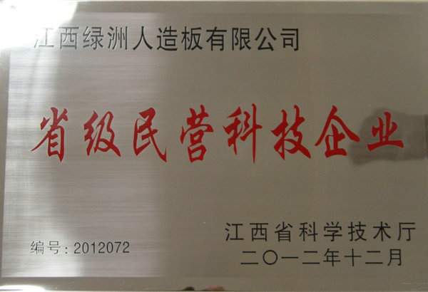 2012年省民营科技企业