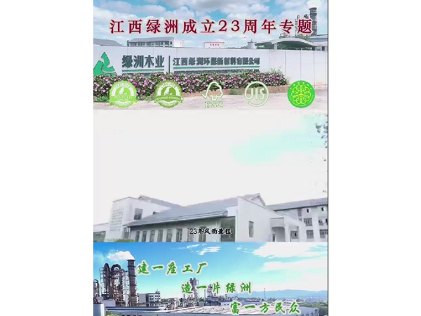 小叶探厂