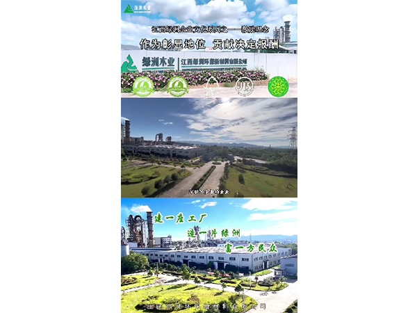 小叶探厂