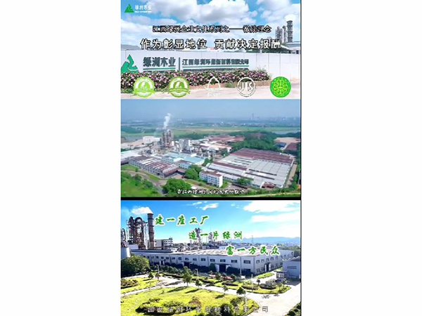 小叶探厂
