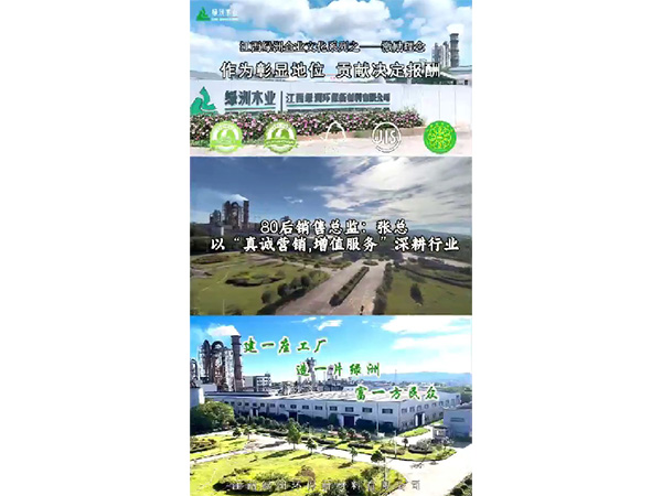 小叶探厂